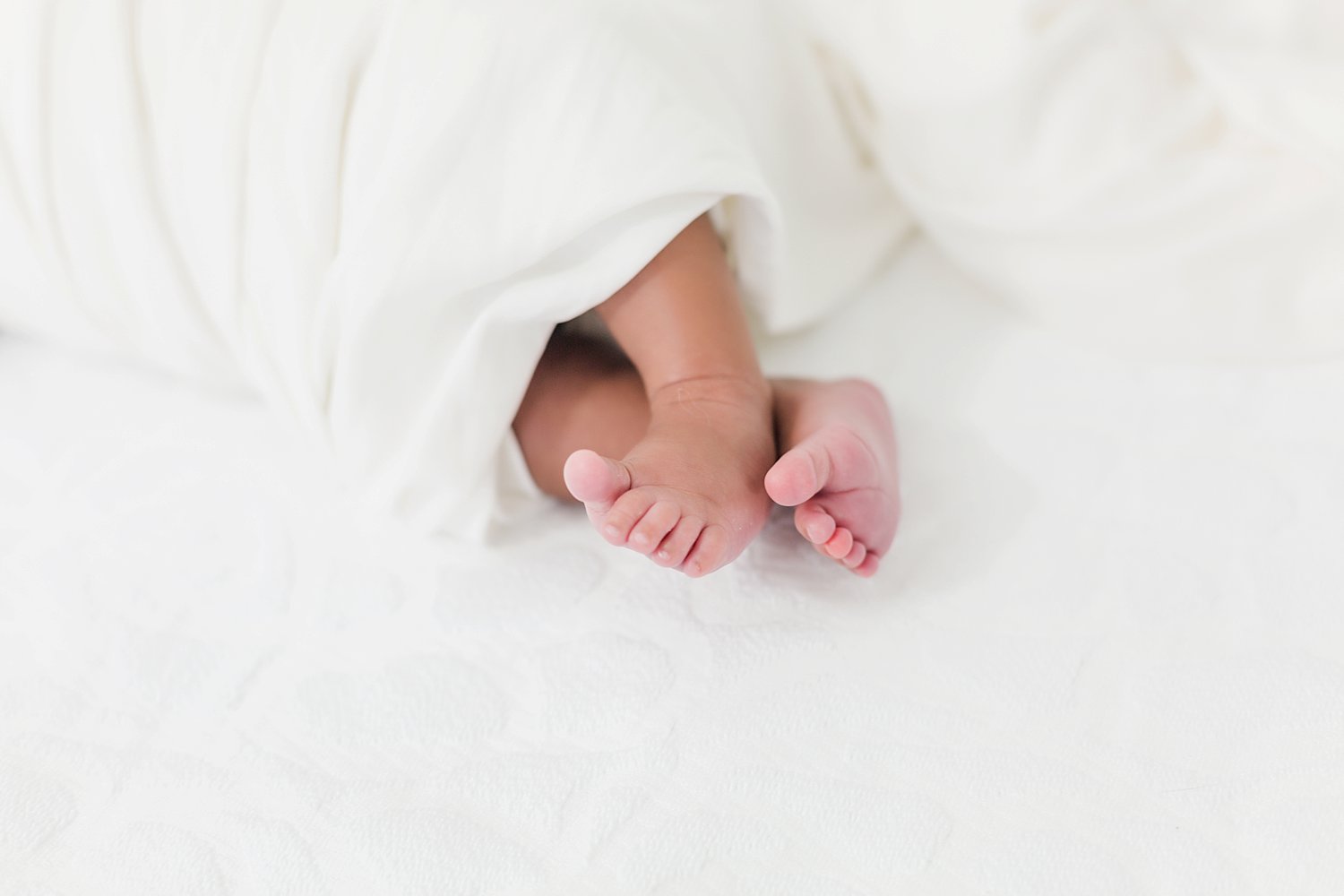 close up of baby toes in detail shot from newborn portrait session