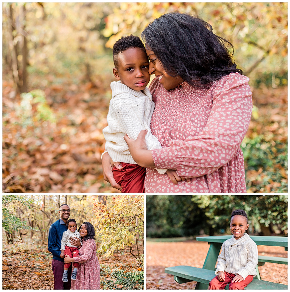 Fall mini pictures for a family of three with a little boy at Awbury Arboretum taken by Ann Blake Photography, a Philadelphia family photographer.